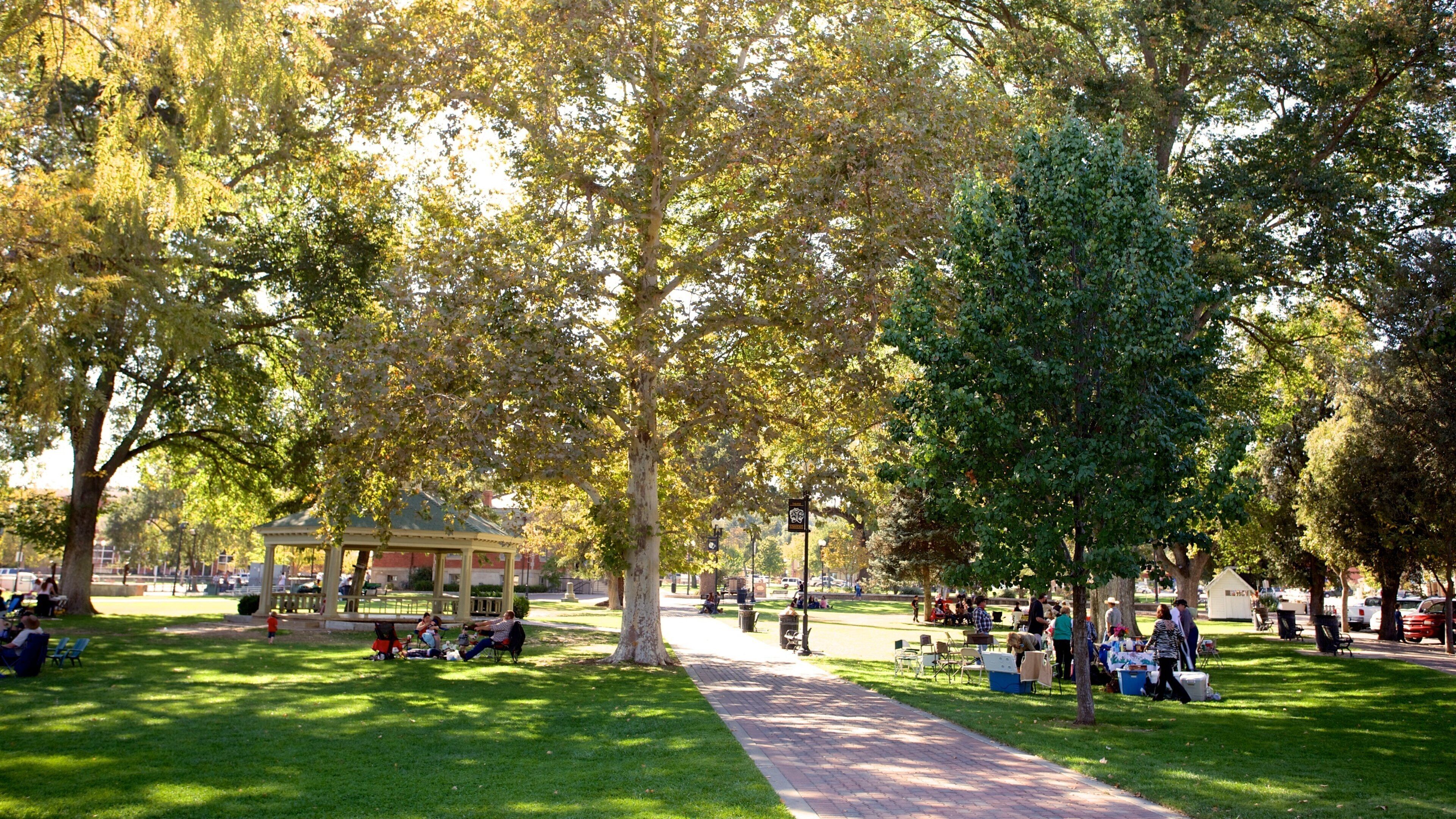 Paso Robles showing a garden