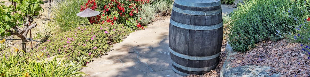 New vineyards and wineries on the scenic hills of the California Central Coast where vineyards grow a variety of fine grapes for wine production, near Paso Robles, CA. on scenic Highway 46.; Shutterst