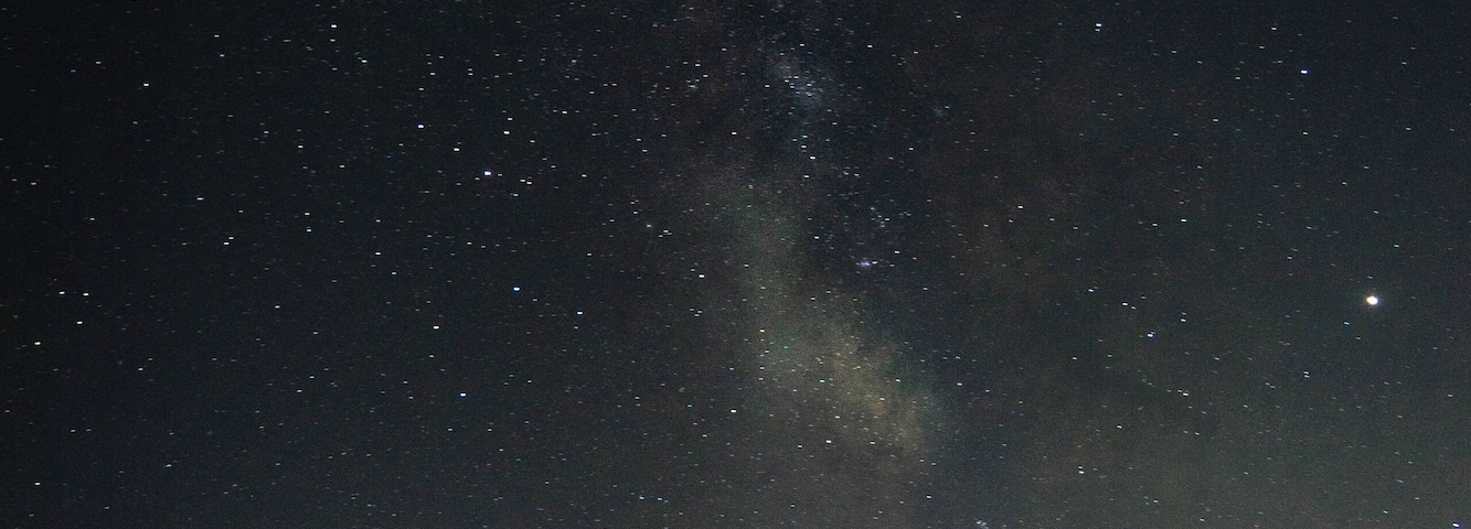 Céu estrelado com um campo de luzes roxas e duas árvores.
