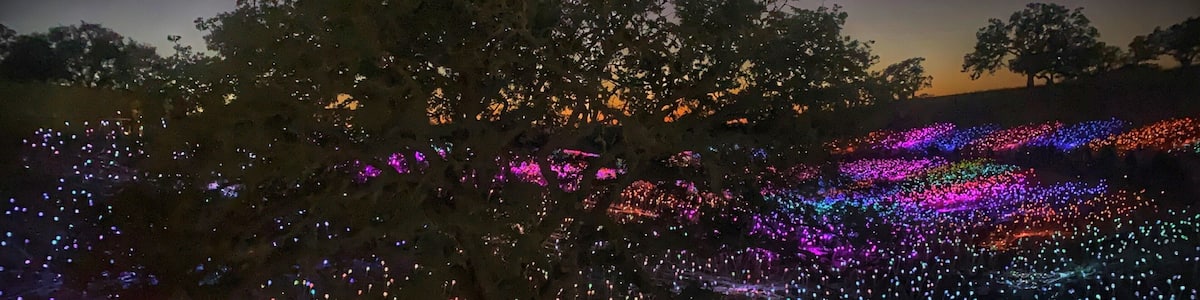 Un arbre décoré de guirlandes lumineuses colorées la nuit.
