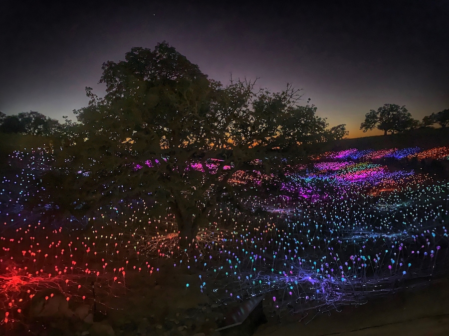 A tree with colorful lights at night.