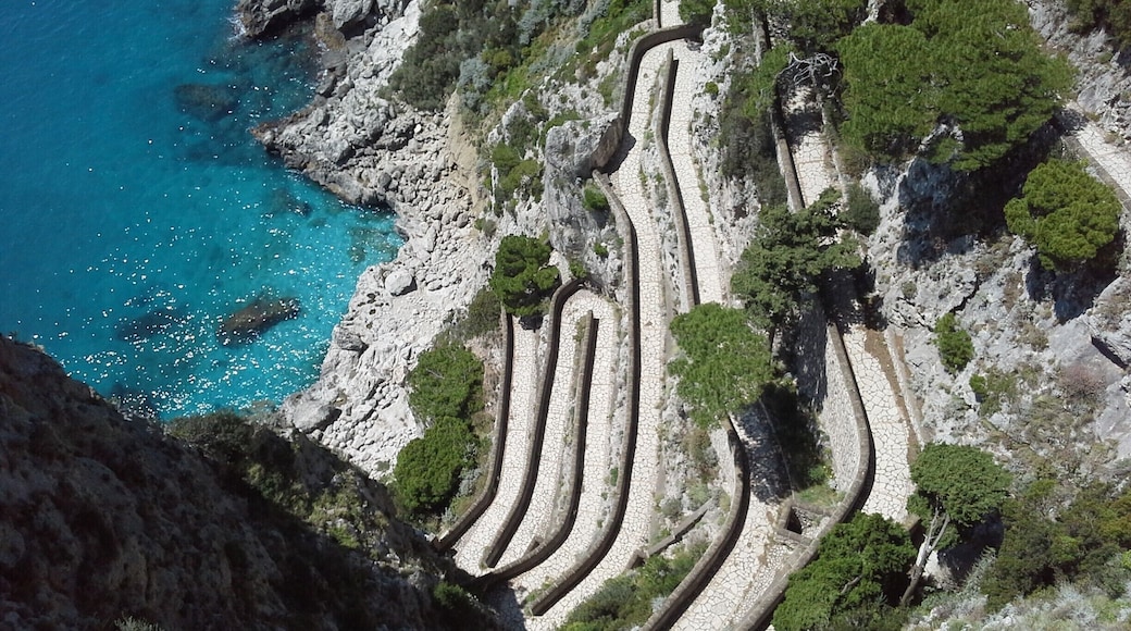 Via Krupp is a historic switchback paved footpath on the island of Capri, connecting the Charterhouse of San Giacomo and the Gardens of Augustus area with Marina Piccola. Commissioned by German industrialist Friedrich Alfred Krupp, the path covers an elevation difference of about 100 m.
Built between 1900 and 1902, ostensibly Via Krupp was a connection for Krupp between his luxury hotel, Grand Hotel Quisisana, and Marina Piccola, where his marine biology research vessel lay at anchor.Since 1976, Via Krupp has been closed most of the time due to the danger of falling rocks.
#blue