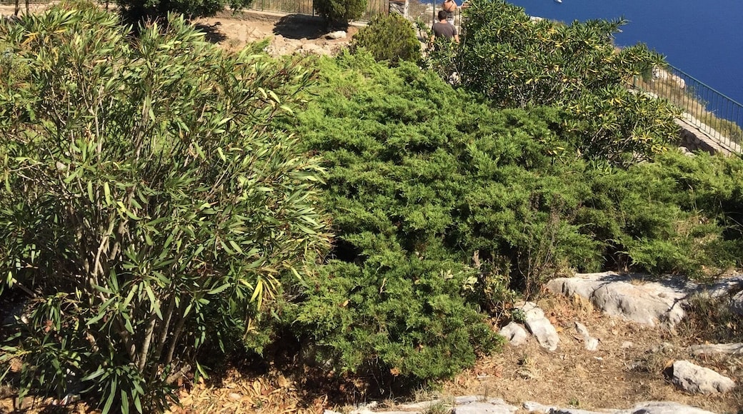 View of the faraglioni from the town of Capri.