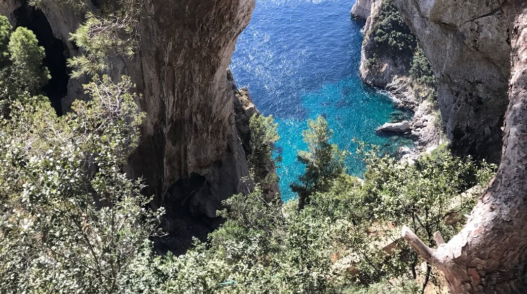 If you've only got a couple of hours on Capri then walk here. It's about 25 mins from the main piazza and away from all the tourists