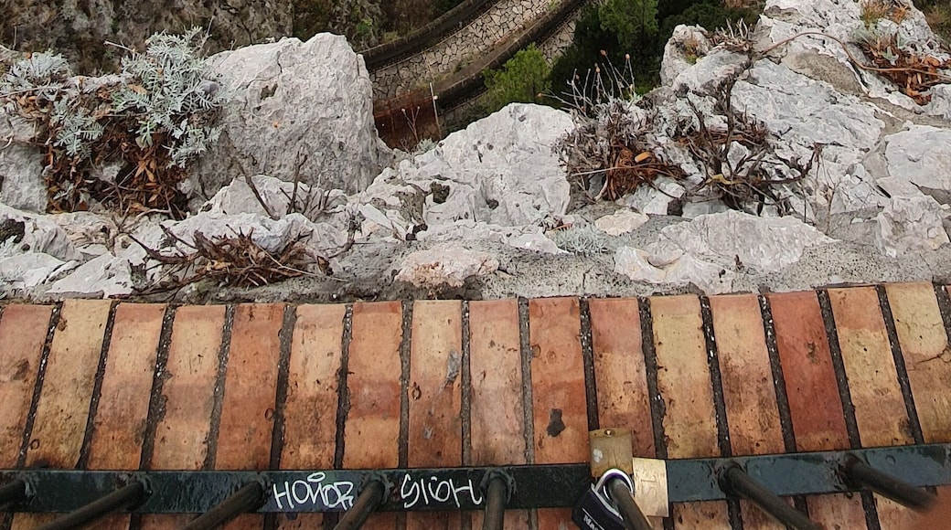 #LifeAtExpediaGroup
Breathe taking views of capri and the blue water from this gardens 🥰 Hike to this place is must when in capri, italy.