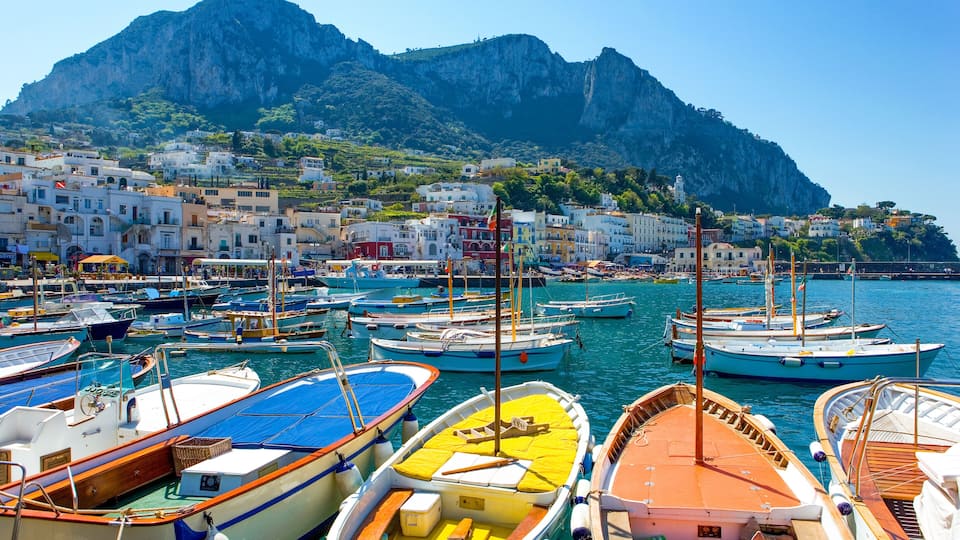 A harbor with colorful boats docked, a mountainous backdrop, and white buildings with red roofs.