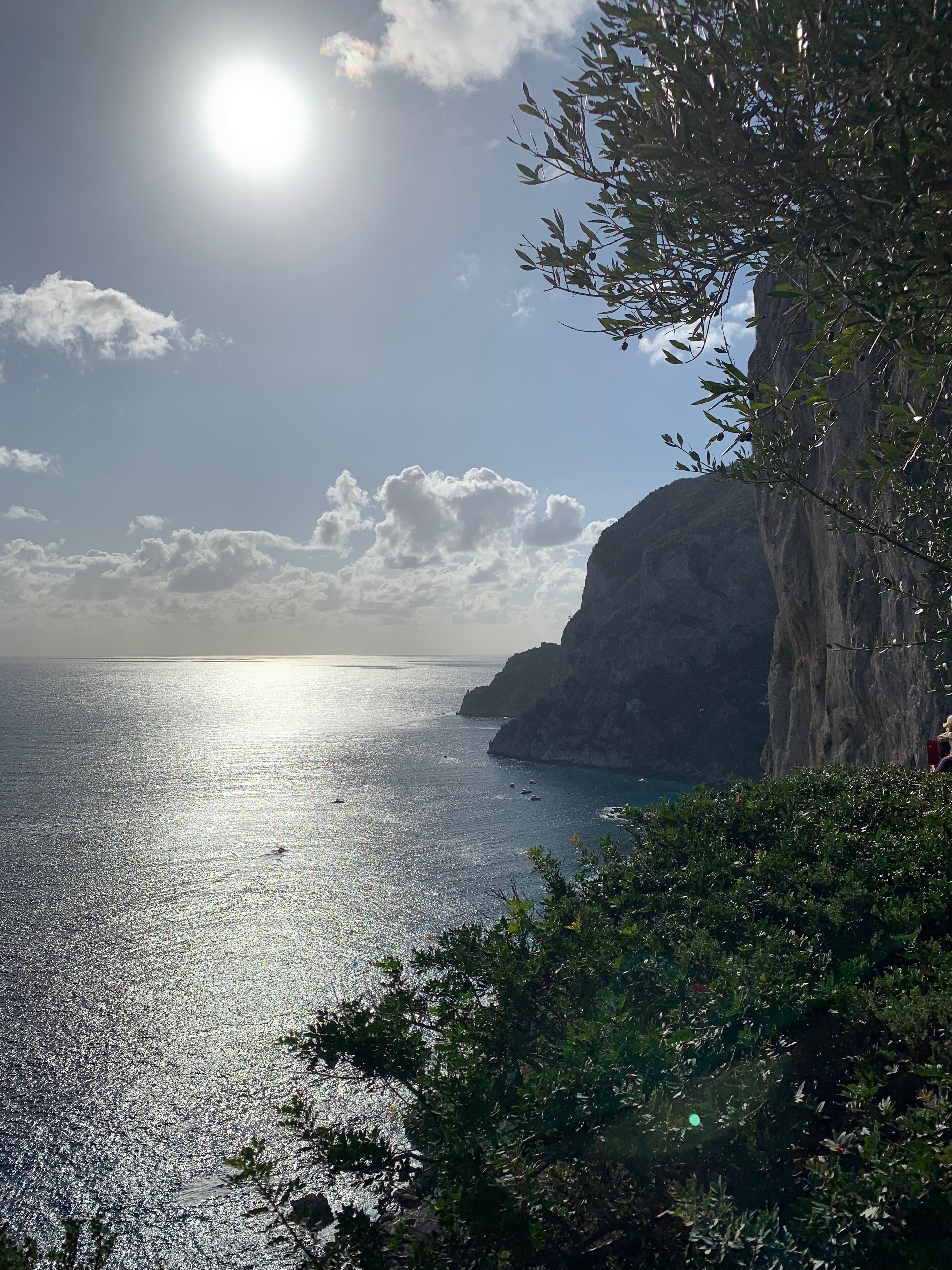 views from the garden 