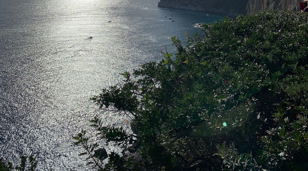 views from the garden