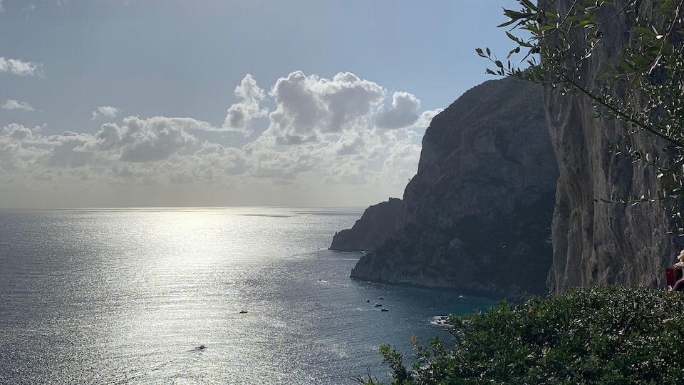 views from the garden