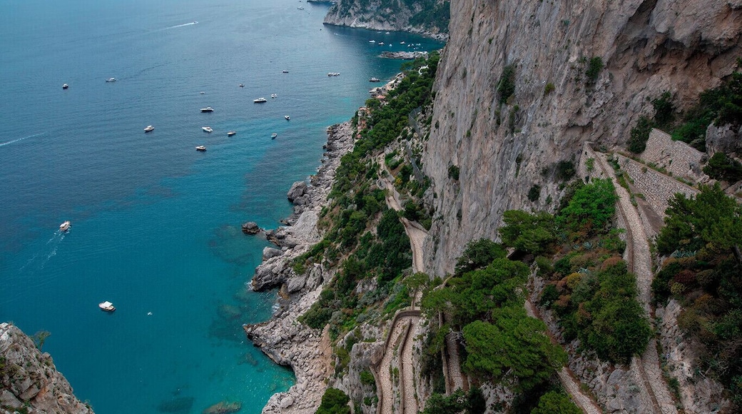 Everyone has this photo. So do I.