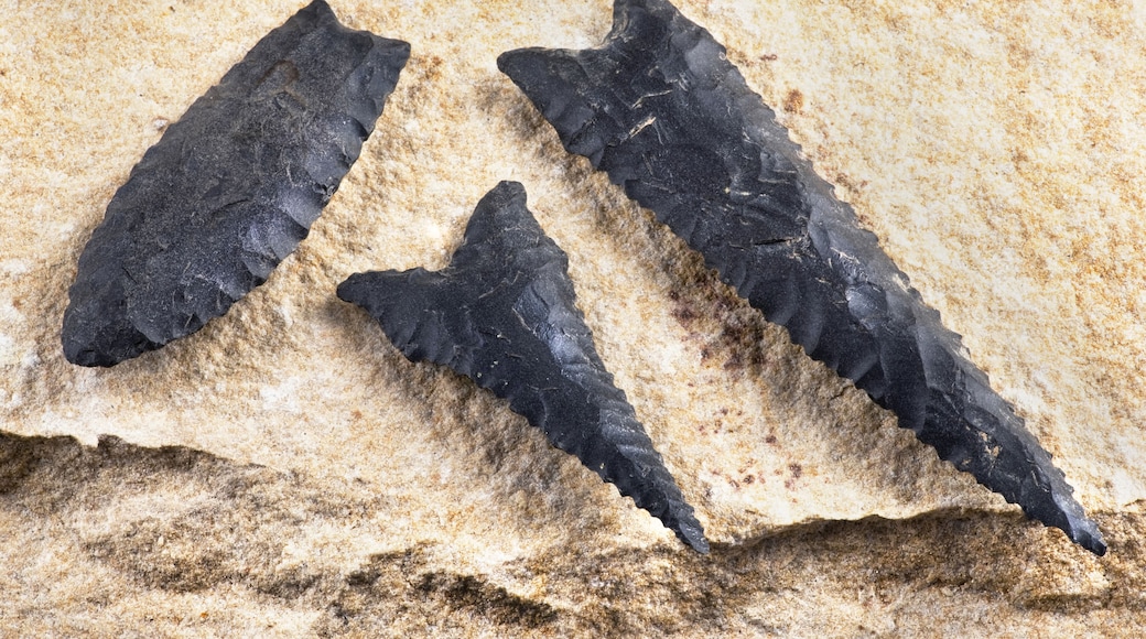 Paleo Dalton Arrowheads.