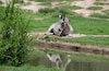 希爾克雷斯特公園動物園