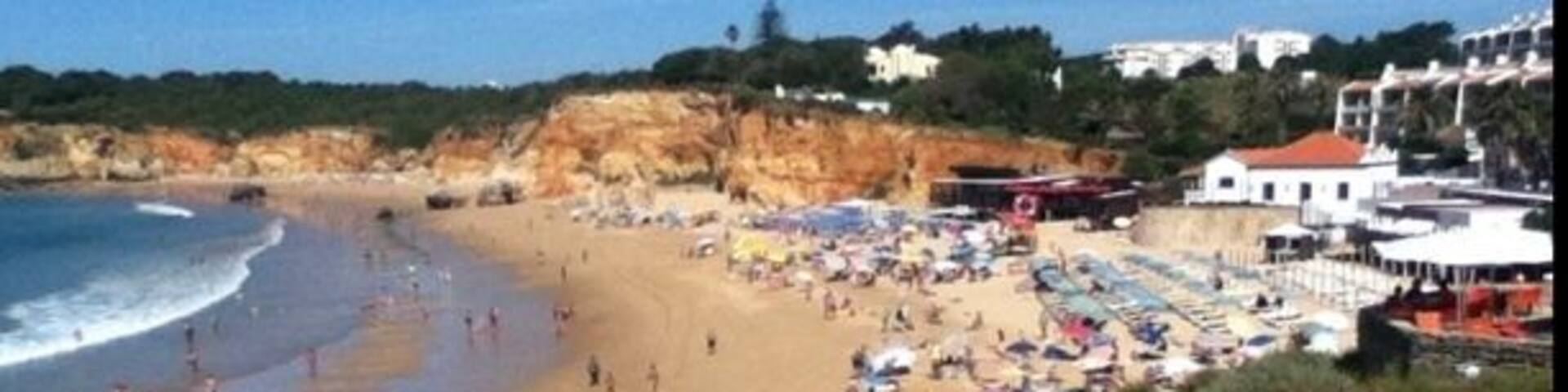 A beach with people sunbathing, umbrellas, and a rocky cliff.