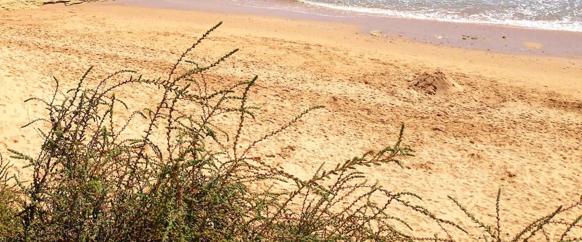 Is there anything better than clear blue skies, 27C (which in my opinion is the perfect temperature), the sea right in front of you...? I don't think so.
#alifefullofserendipity #serendipitytess #travel #portugal #algarve #sea #sun #beach #sand #ocean #summer #perfection #nature #naturezza #natureperfection