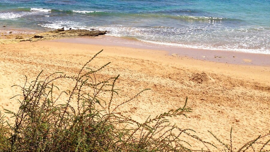 Is there anything better than clear blue skies, 27C