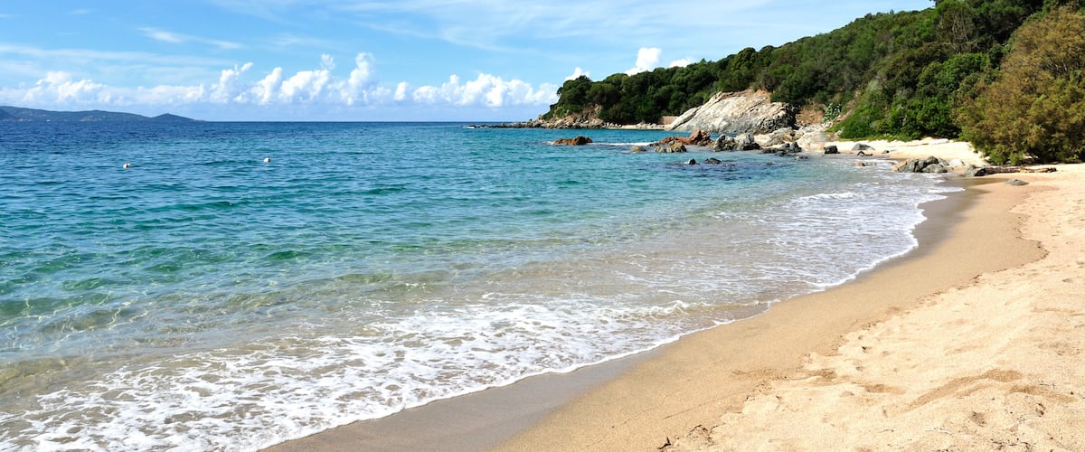 A beach with clear turquoise water, sandy shore, and a forested hillside.