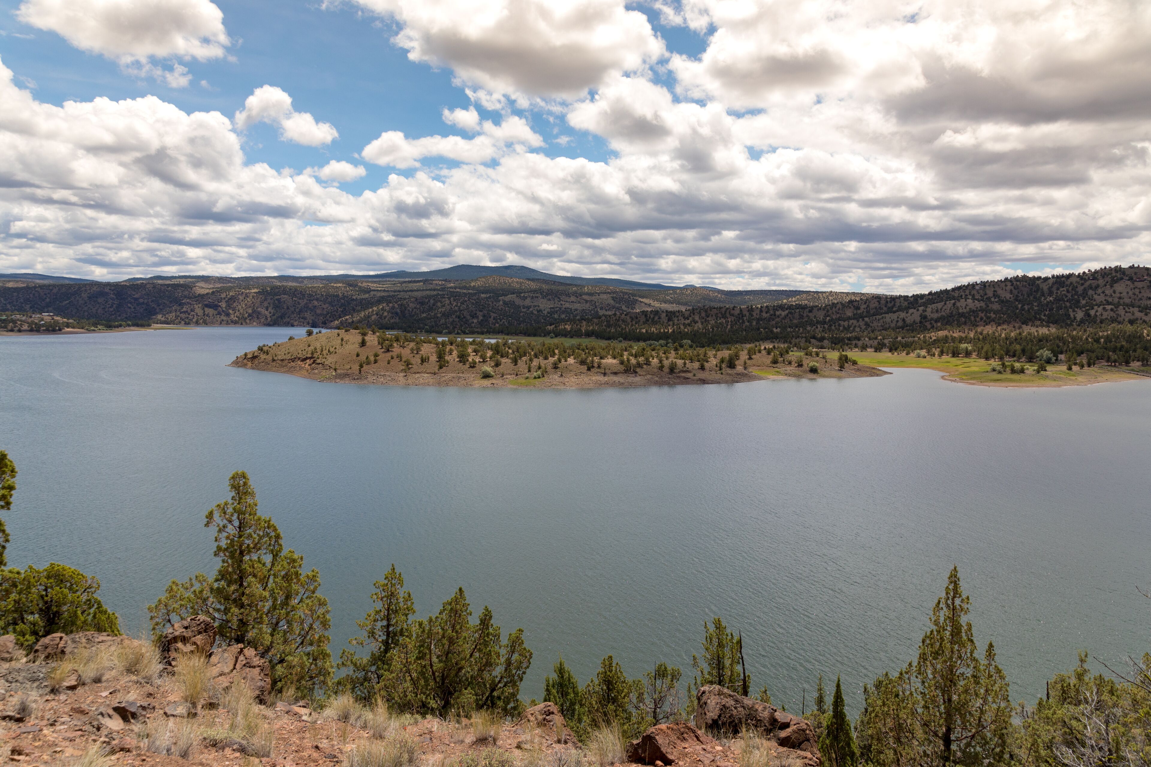 Prineville Reservoir in summer