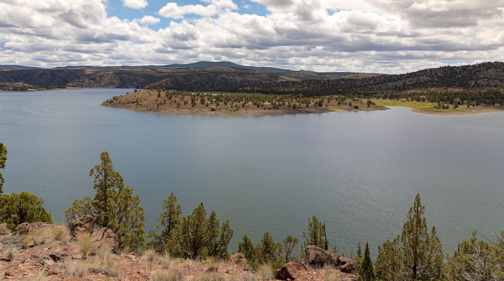 Prineville Reservoir in summer