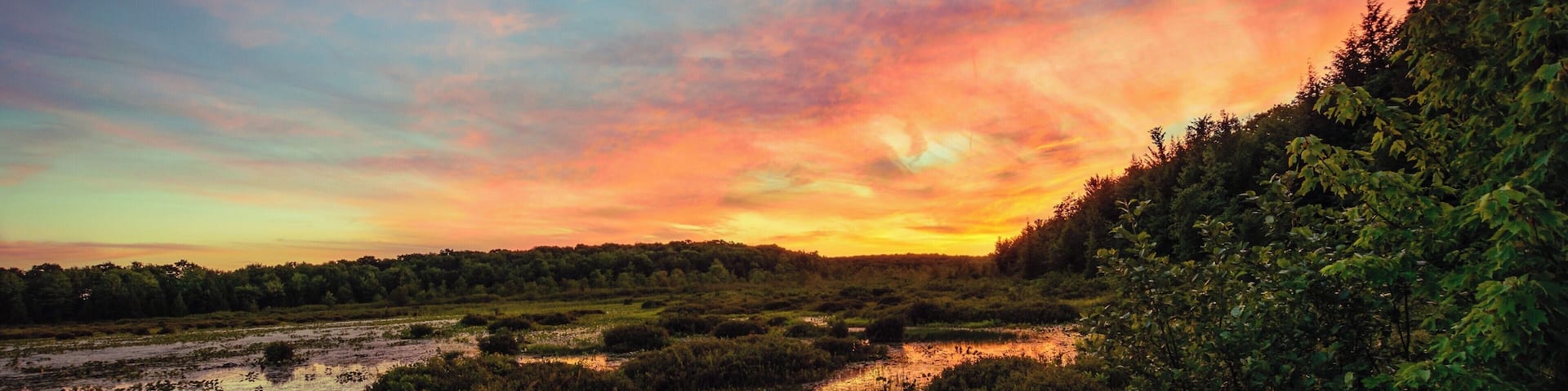 Black Moshannon State park is an amazing bog, and when the sun sets, you can capture beautiful reflections in the boggy water. This spot in particular is just as quick walk down the trail, along a board walk. I photographed this directly on the viewing deck. To the right of where this shot was taken, you can see Kayakers paddling along the water most times of day, which can make for a great photograph as well.
#BVS
#Sunset
#Pennsylvania