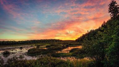 Black Moshannon State park is an amazing bog, and when the sun sets, you can capture beautiful reflections in the boggy water. This spot in particular is just as quick walk down the trail, along a board walk. I photographed this directly on the viewing deck. To the right of where this shot was taken, you can see Kayakers paddling along the water most times of day, which can make for a great photograph as well.
#BVS
#Sunset
#Pennsylvania