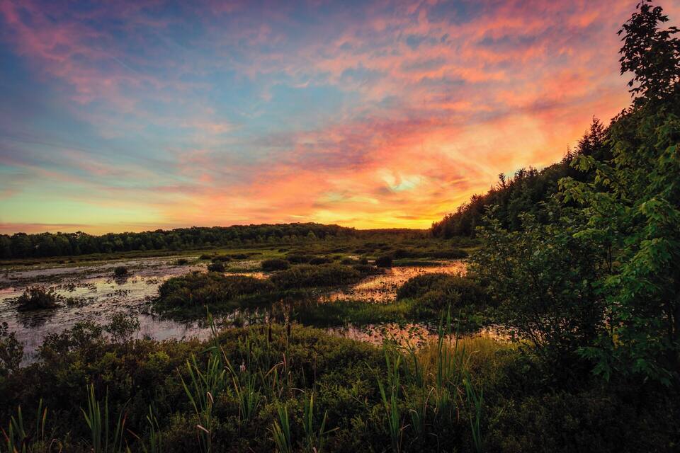 A sunset over a marshy landscape with dense vegetation and a forested hill.