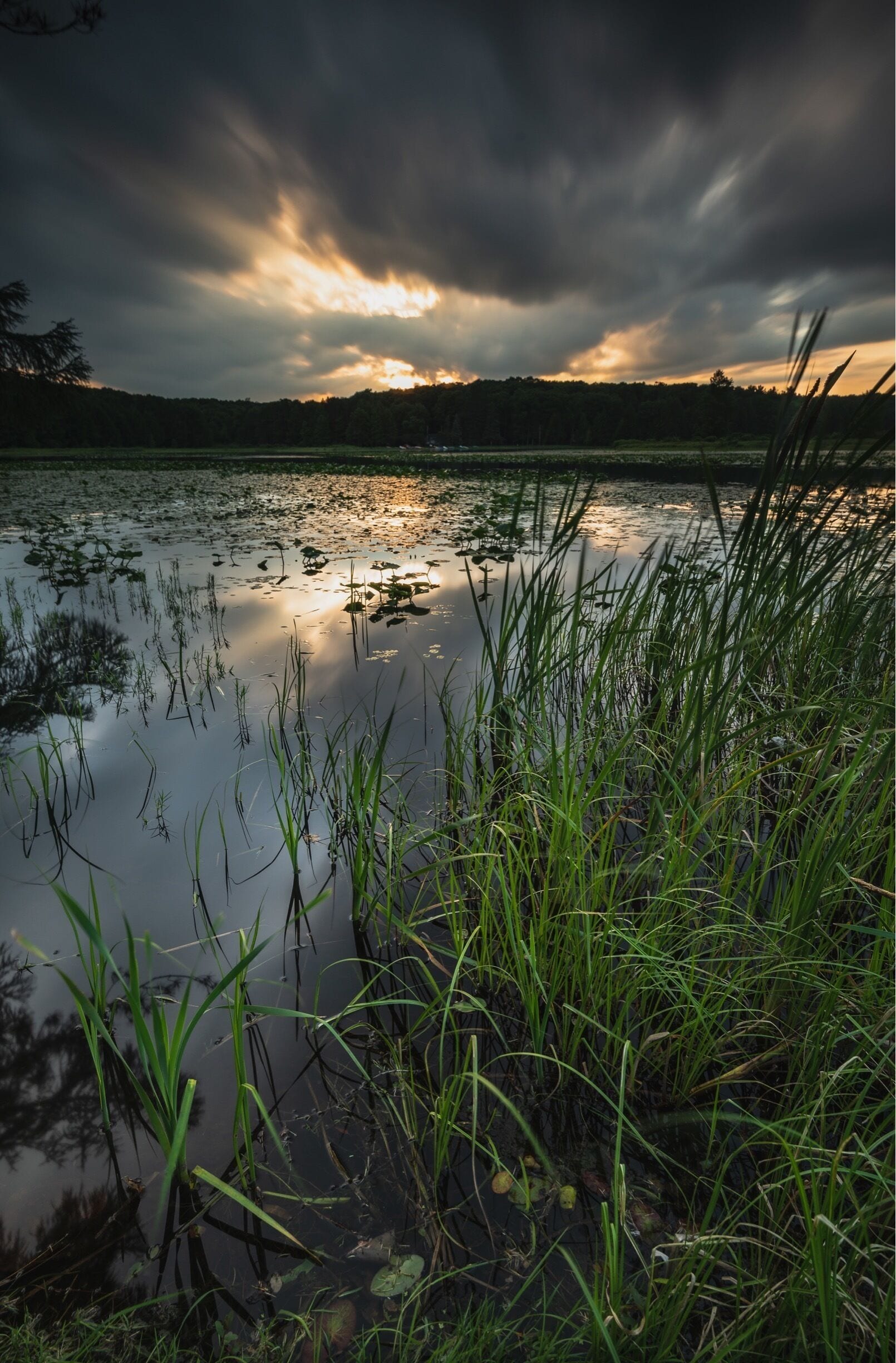 Black Moshannon is one of the best places for photography in PA. The water is such a dark color that you can get some beautiful sunset reflections! 

#Pennsylvania
#adventure
#travelphotography
