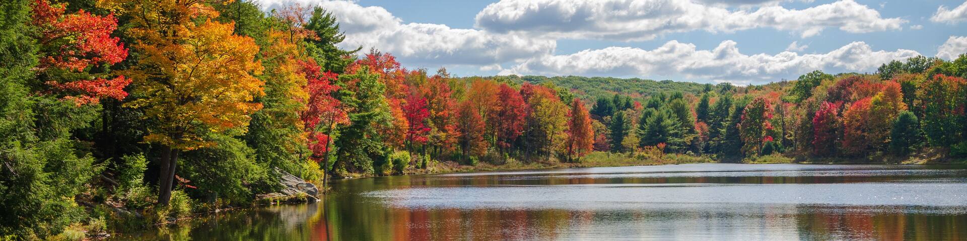A calm lake surrounded by autumn-colored trees.