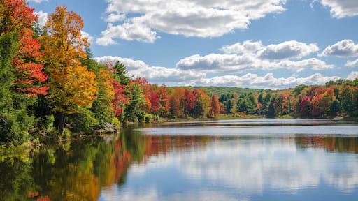 Un lago tranquilo rodeado de árboles de colores otoñales.