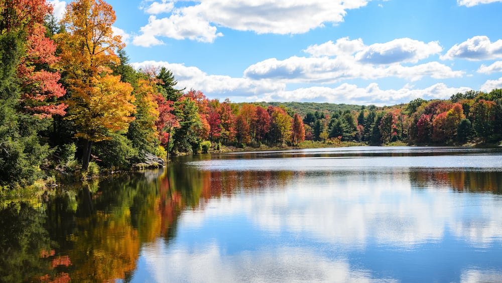 Parker Dam State Park