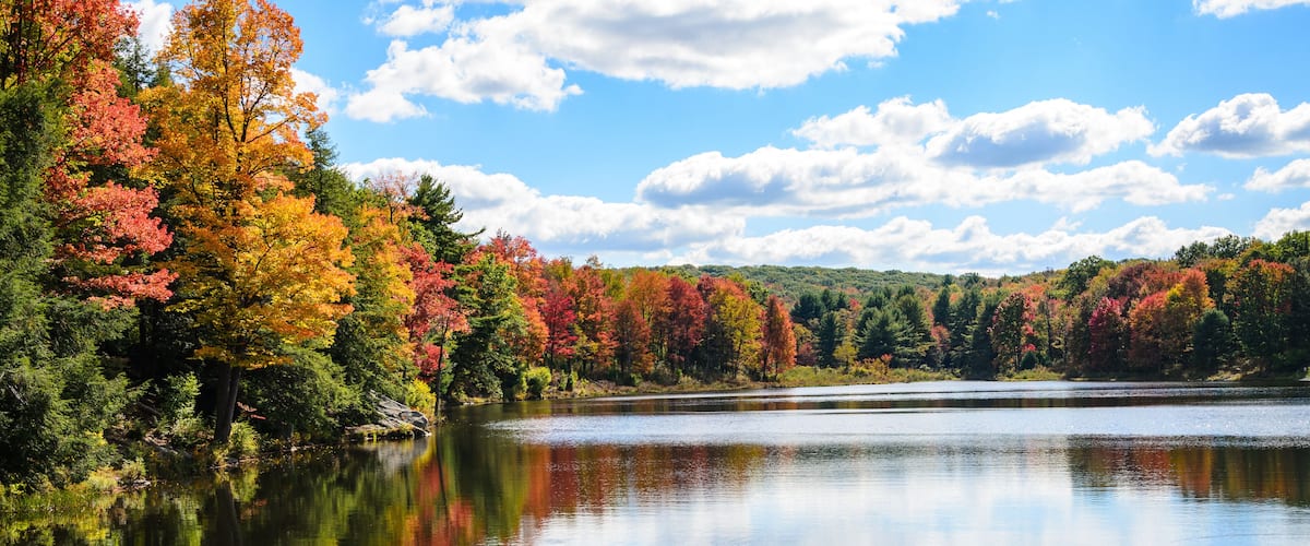 A calm lake surrounded by autumn-colored trees and a clear blue sky.