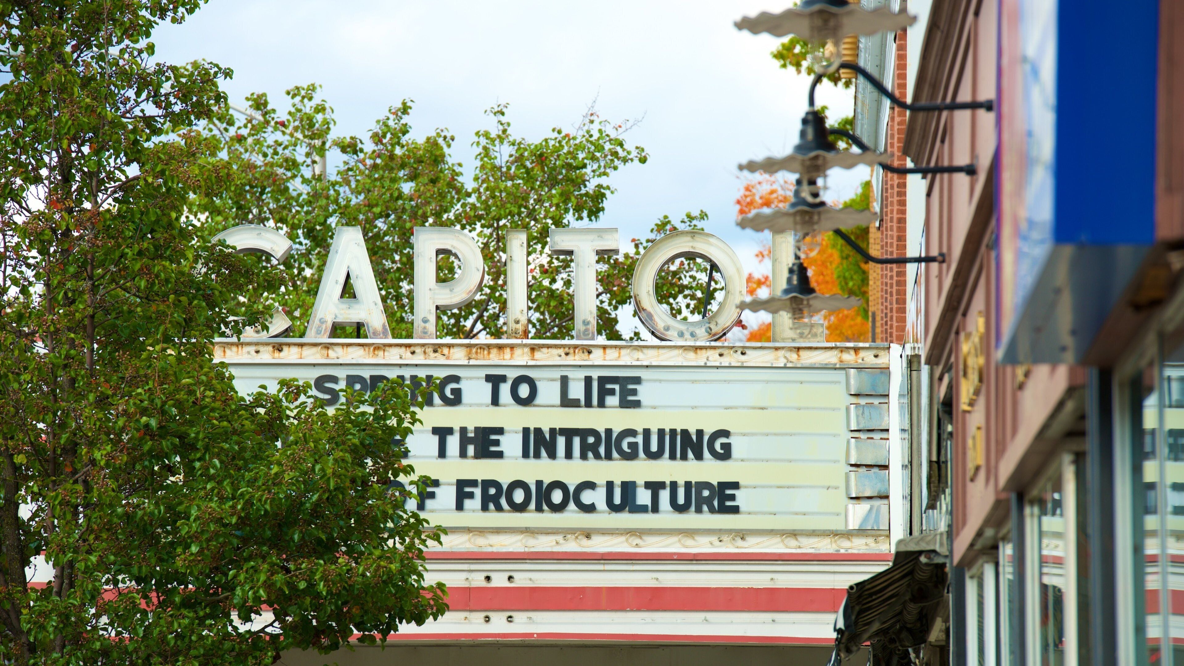 A vintage cinema marquee with the words "CAPITO" and "SPRING TO LIFE THE INTRIGUING OF FROIO CULTURE".