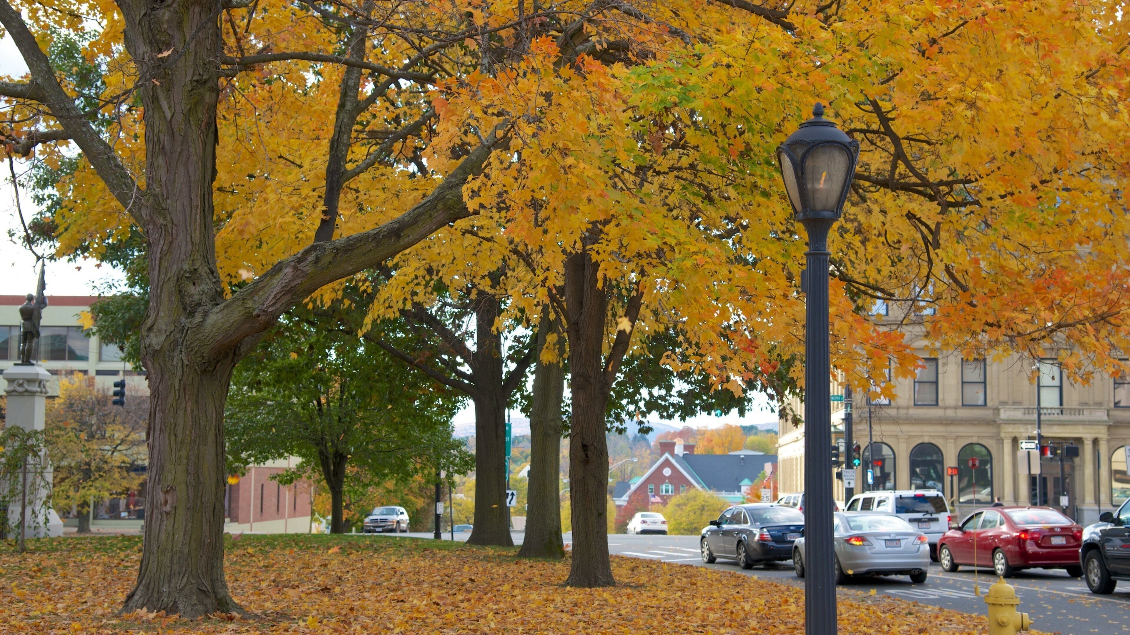Pittsfield showing fall colors