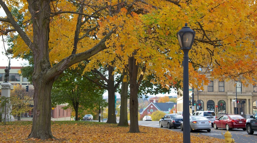 Pittsfield showing fall colors