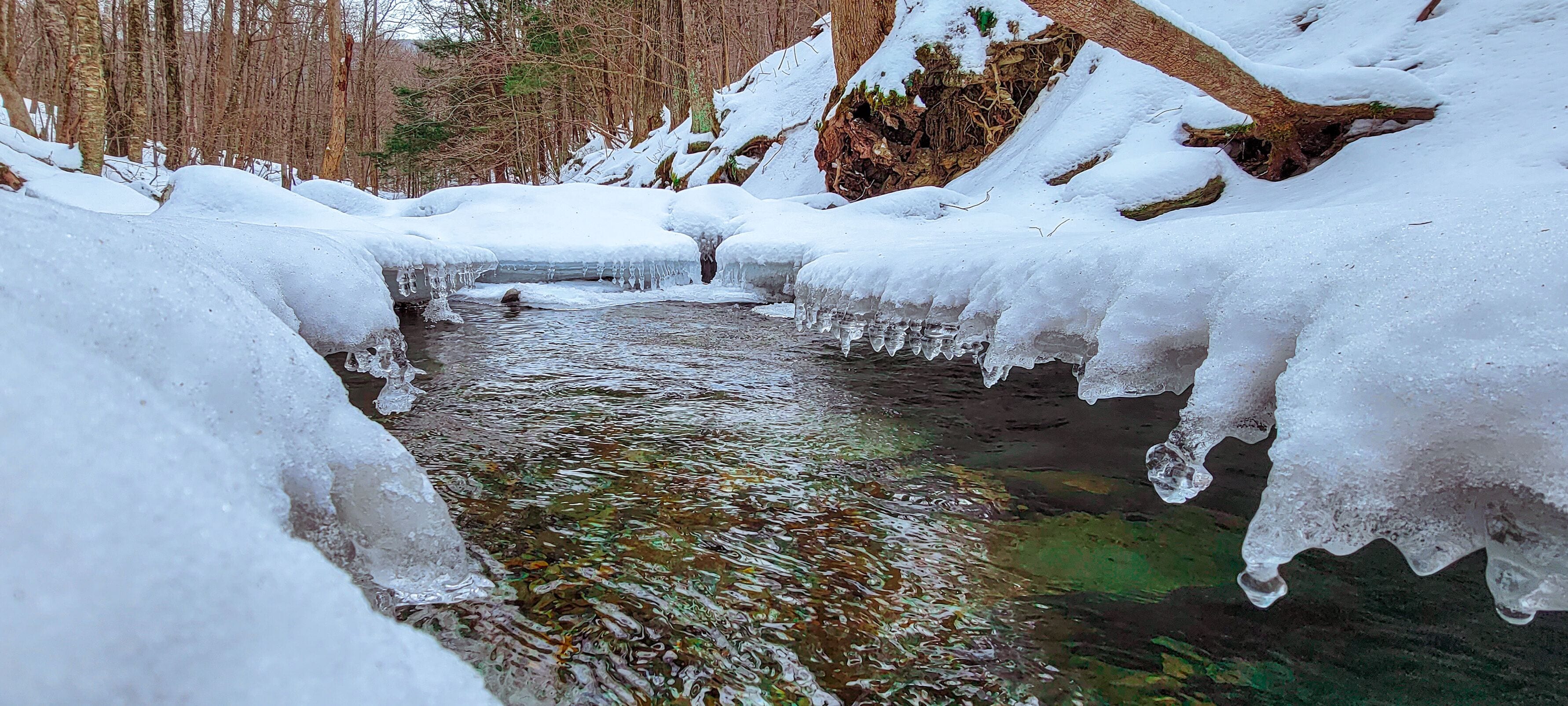 A frozen stream with icicles hanging over it, surrounded by snow-covered trees.