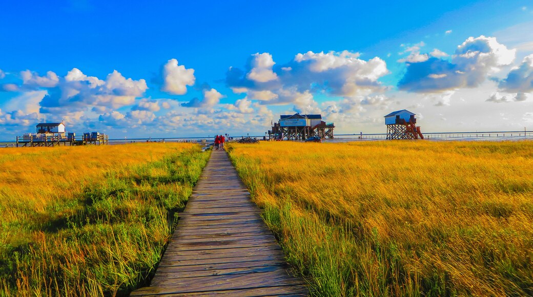 Holzsteg zum Südstrand St. Peter-Ording