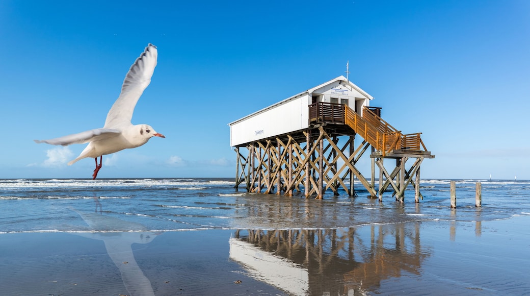 Urlaub in St. Peter-Ording