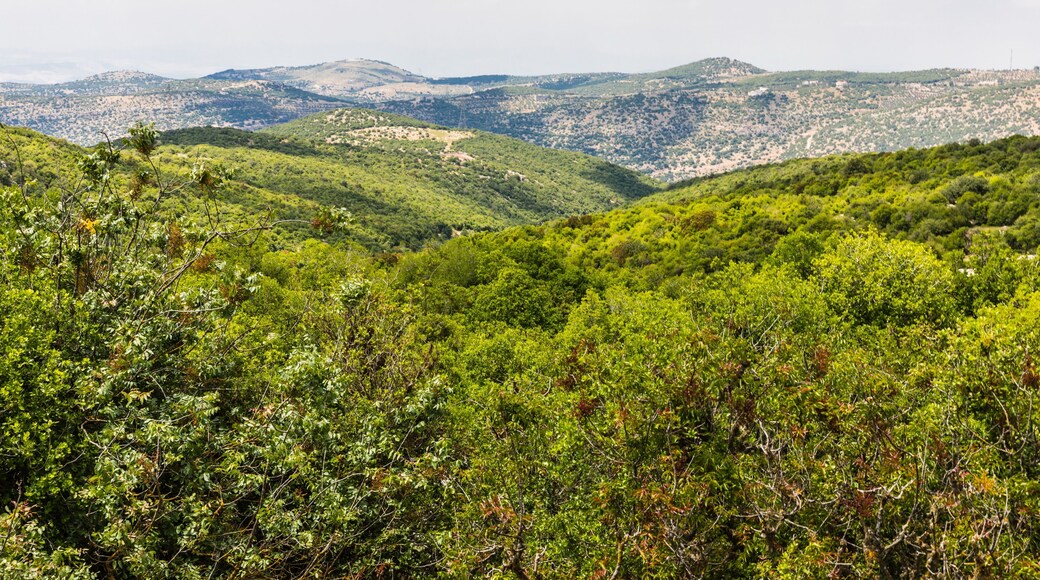 Aghwar Shamaliyah District