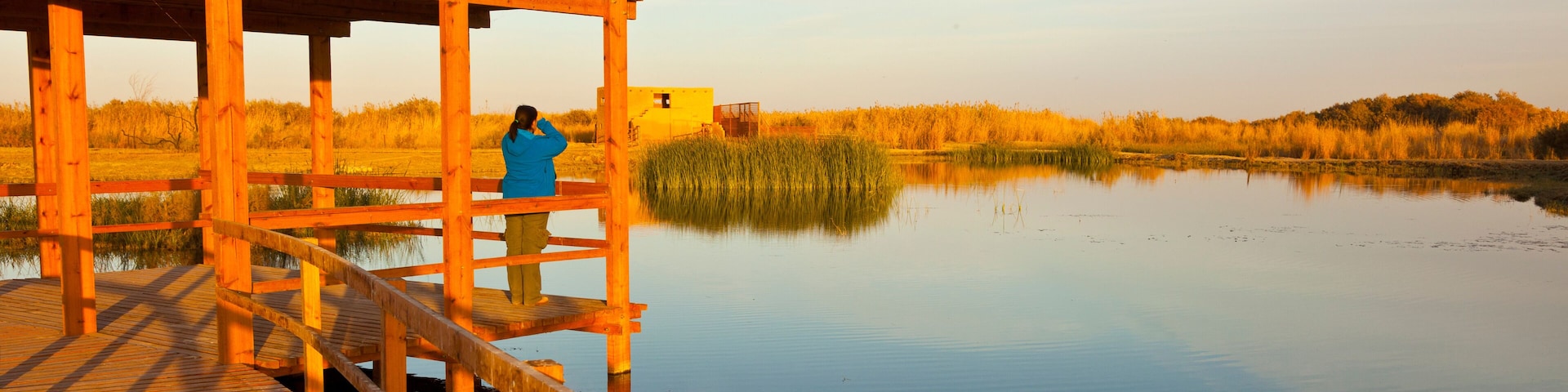 Une jetée en bois s’étendant au-dessus d’un lac paisible, avec des roseaux en arrière-plan.
