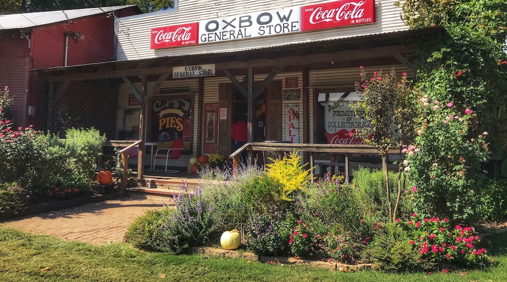 Nestled along the banks of Caddo Creek in Old Town Palestine, Oxbow Bakery is a slice of old-timey heaven that serves a wickedly sinful slice of pie. Well worth the 350 mile motorcycle ride!