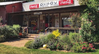 Nestled along the banks of Caddo Creek in Old Town Palestine, Oxbow Bakery is a slice of old-timey heaven that serves a wickedly sinful slice of pie. Well worth the 350 mile motorcycle ride!