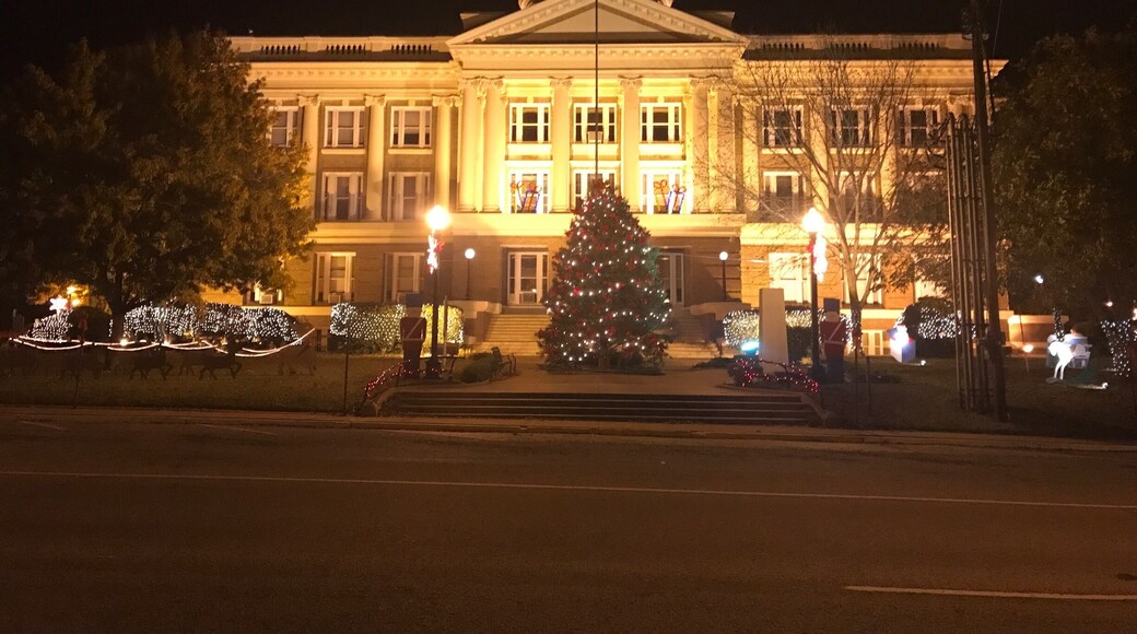 Beautiful picture from downtown Palestine, TX. Anderson County Courthouse.