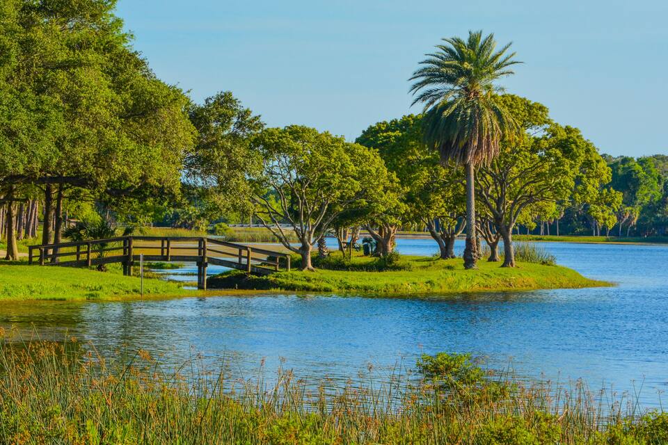 Un parc tranquil al costat d'un llac amb un pont de fusta, vegetació abundant i una palmera.