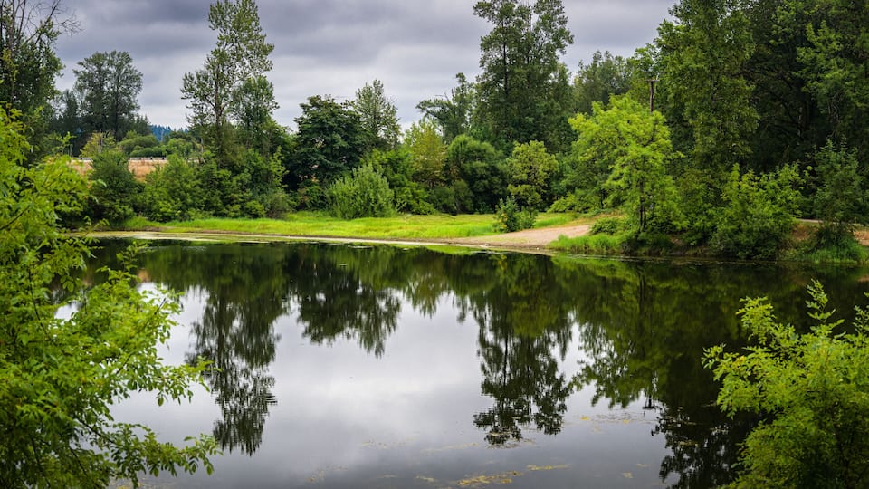 A calm lake surrounded by lush greenery and trees.