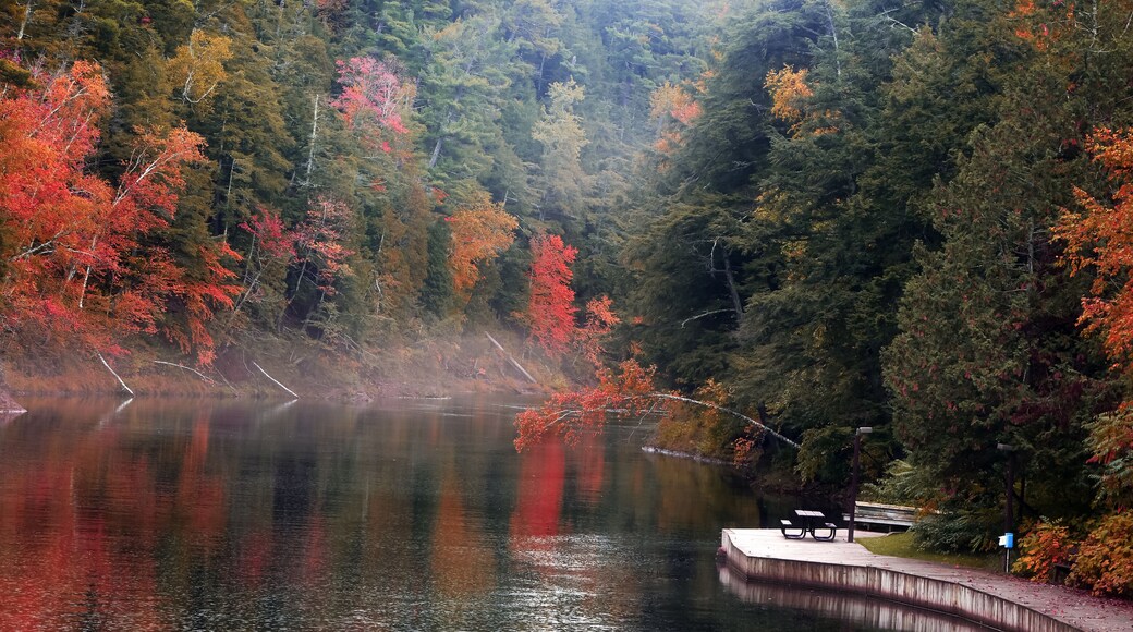 ฝั่งเหนือ