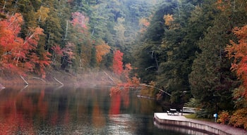 Scenic fall foliage along Black river in Michigan upper peninsula