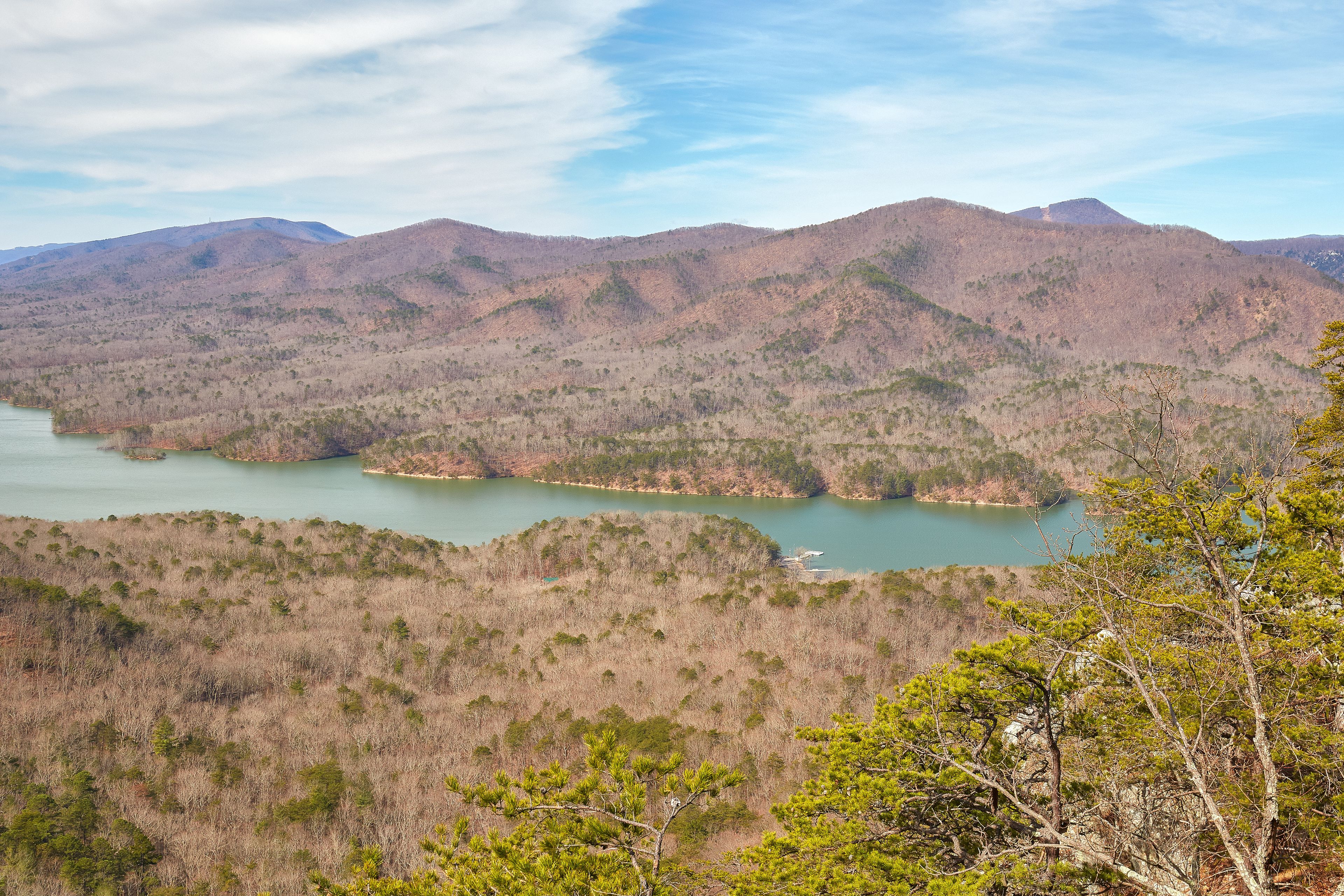 Paesaggio montuoso con un lago e una fitta foresta.