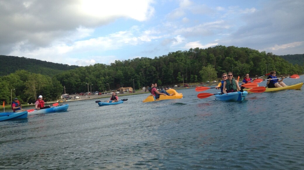 Kayak rentals are $7/hr or 11 for 2hours