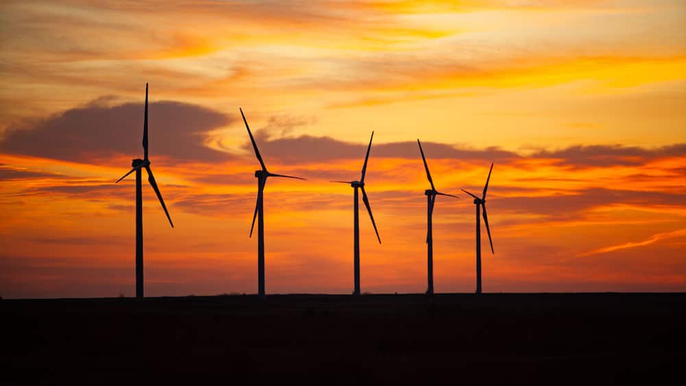 Les éoliennes se dressent en silhouette sur le ciel au coucher du soleil.