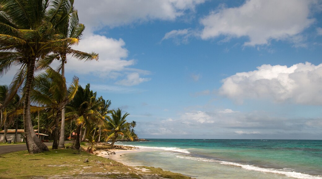 Spiaggia di Sally Peachy