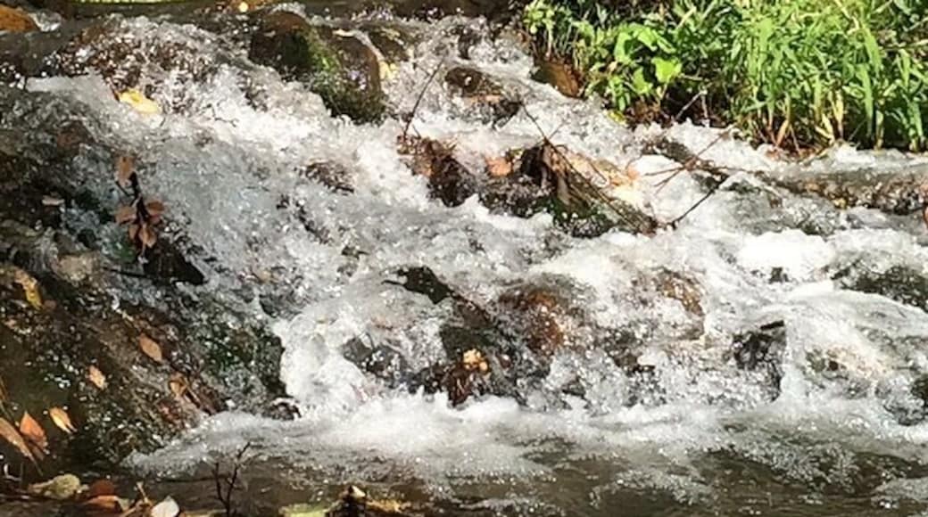 Camp James at Kern River